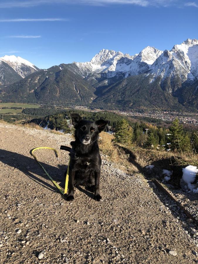 Ferienwohnung Anette Garmisch-Partenkirchen Luaran gambar